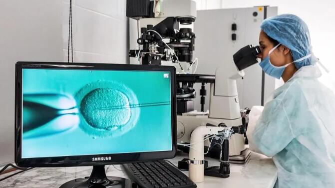 全球首批機(jī)器受精試管嬰兒出生