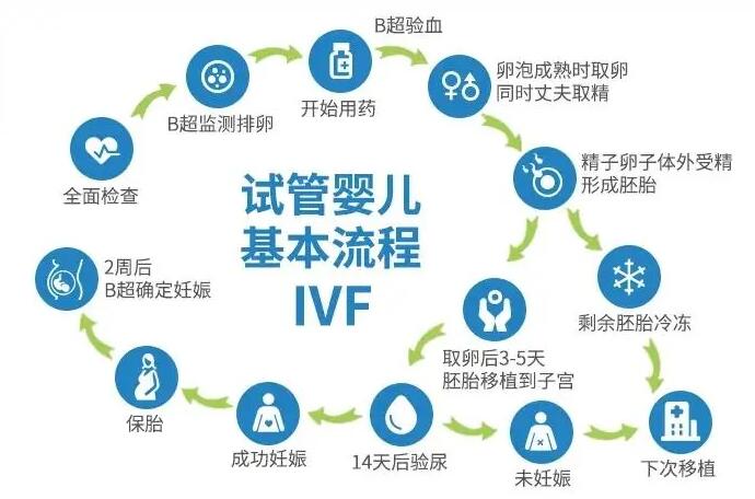 試管嬰兒的全部流程