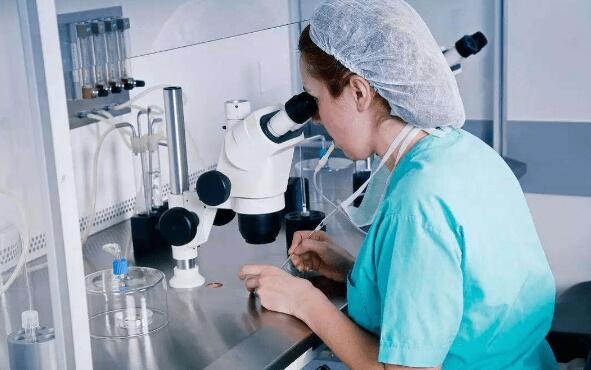 試管嬰兒詳細步驟 試管嬰兒成功率如何 試管嬰兒詳細步驟 試管嬰兒成功率如何