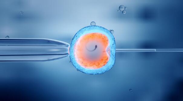 試管嬰兒的全部流程是什么? 試管嬰兒的全部流程是什么?