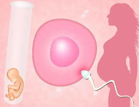 全方位解讀試管嬰兒流程詳細介紹