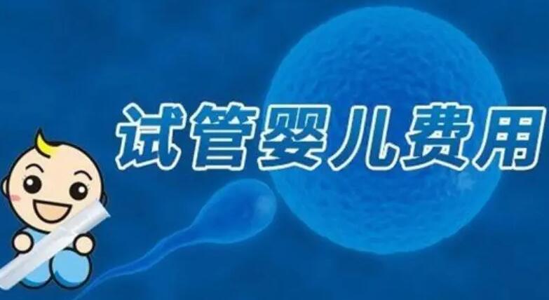 成都試管嬰兒孩子價(jià)格要多少？