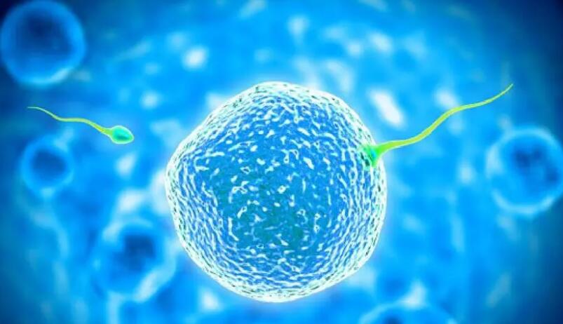 太原第三代試管嬰兒成功率高嗎?試管嬰兒多少錢能做? 太原第三代試管嬰兒成功率高嗎?試管嬰兒多少錢能做?