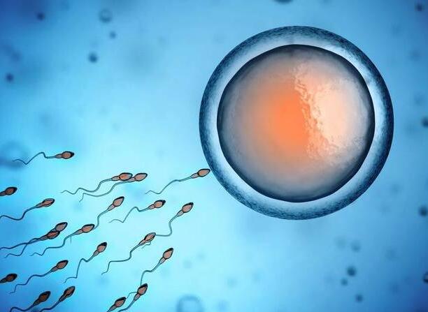 濟(jì)南試管嬰兒大約得花多少錢(qián)?如何提高試管嬰兒的成功率? 濟(jì)南試管嬰兒大約得花多少錢(qián)?如何提高試管嬰兒的成功率?