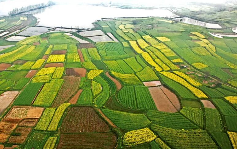 江漢平原 江漢平原