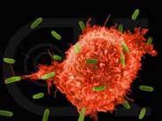 自身免疫性肝炎