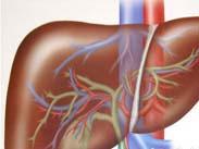 暴發性肝功能衰竭