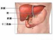 小兒急性膽囊炎