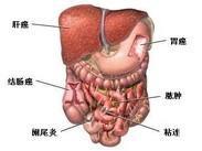小兒慢性胰腺炎