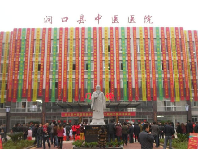 洞口縣中醫院